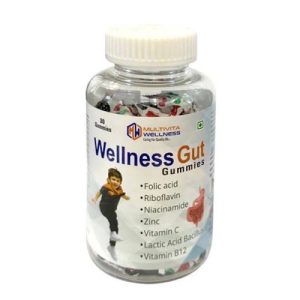 Wellness Gut Gummies 30S